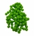 Pompom Bolinha 1 cm - 50 Unids. - Atacadão das Fitas 