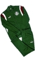 Conjunto Puma Palmeiras 2024-25