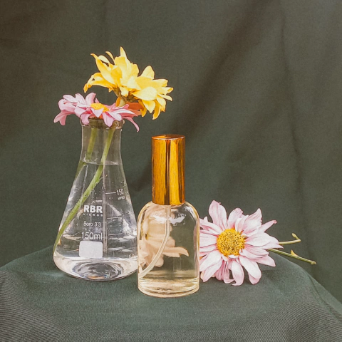 VERIDYA {Água de colônia} - comprar online