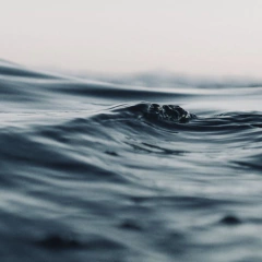 CALMARIA {hidratante facial} - loja online