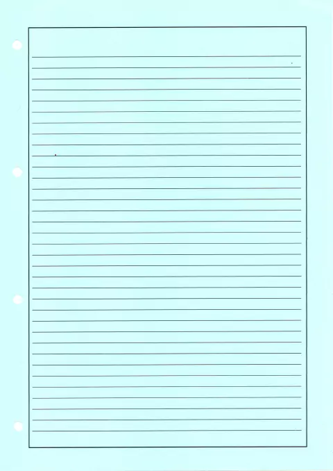 Folha Pautada 75g/m² 20 folhas Report - Papelaria João e Maria