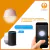 Tecla de Pared Touch 1 Canal Dimmer Wifi Smartlife / Tuya en internet