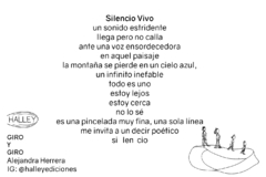 Giro y giro - Alejandra Herrera - comprar online