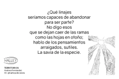 Territorios - Andrea Fernández - comprar online