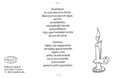 TODO LO QUE VI - JUAN PABLO DUBOUÉ - comprar online