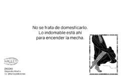 Ebook Zigzag - Alejandra Martin - comprar online