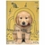 CADERNO 1/4 BROCHURA 80 Fls MY PETS - SD - Behappy.Moda