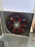 CD Testament - LOW (Cd Usado) - comprar online