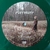 LP Taylor Swift – Evermore (Novo/Lacrado) (Importado) - comprar online