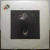 LP The Call – Into The Woods (1987) (Vinil usado)