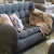 Sofa Capitone Kinder Doble