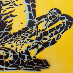 Perereca - MATIAS PICON - 42x29cm - loja online