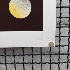 Pássaros - JOÃO LELO - 42x30cm - comprar online