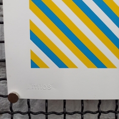 Pássaros - JOÃO LELO - 42x30cm na internet