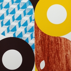 Pássaros - JOÃO LELO - 42x30cm - Pr1ntShop