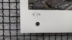 Displicência - ISE - 48,3x41,2cm na internet