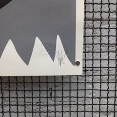 Abóbora - SHN - 66x46cm - comprar online