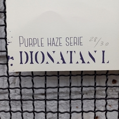 Purple Series - DIONATAN LACERDA - 40,5x29,5cm - comprar online