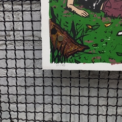 Salad Days - DIOGO RUSTOFF - 49x69cm - comprar online