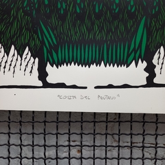 Cosita del Pantano - MATIAS ESPACIAL - 48x66cm na internet