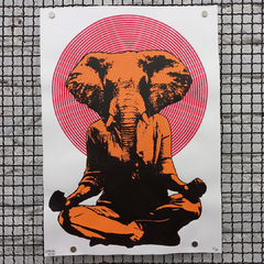 Elefante - MATIAS PICON - 42x29cm