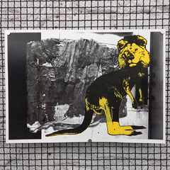 Leão - MATIAS PICON - 42x29cm