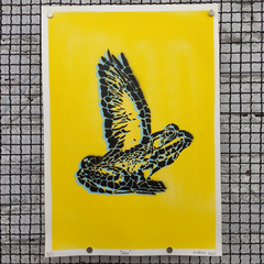 Perereca - MATIAS PICON - 42x29cm