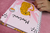 Simple planner 2025 Onça rosa - loja online
