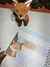 Livro do bebê simples Raposinha - Livro do bebê personalizado | Caderneta de saúde | GrazyParties 
