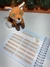 Livro do bebê simples Raposinha