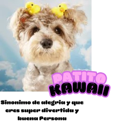 Patito Kawaii Transmite Alegría Ideal Atención Público X2u - comprar online