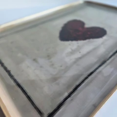 Bowl SETA NARANJA Grande - LARO