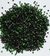 Strass Para Unhas Verde