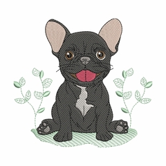 Matriz de Bordado - Bulldog Francês