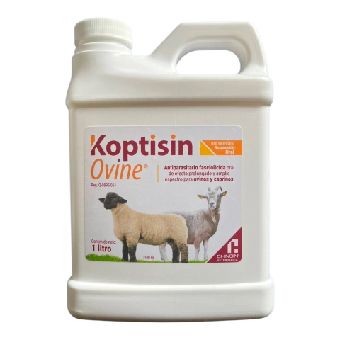 KOPTISIN OVINE ORAL CHINOIN en internet