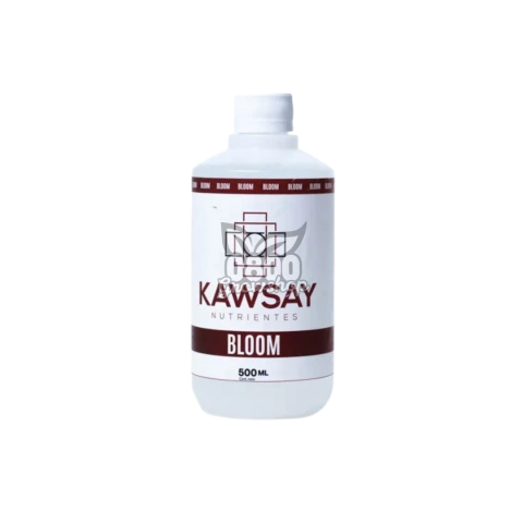 KAWSAY BLOOM en internet