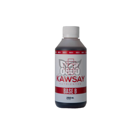 KAWSAY BASE B - comprar online