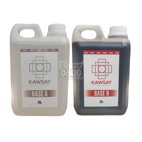 KAWSAY BASE A + B - 0800 Grow