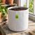 MACETA GEOTEXTIL POCHITA BLANCA 40L - tienda online