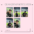 PHOTOCARDS CHANGBIN