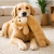 Mordedor Pelúcia Monkey Fleece Bege Grande Jambo Para Cães - PET PATAO SHOP