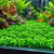 Aquabiz Planta Plastica Placa Brilhantina Verde Claro 25x25cm L209 na internet