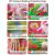 Artesanato Pintura Com Diamante Diy 25X25 - TIGRE HGX195 - PET PATAO SHOP