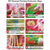 Artesanato Pintura Com Diamante Diy 20x30 - GOLFINHOS - PET PATAO SHOP