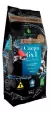 Poytara Ração Para Carpa Premium Saco 6x1 6kg Lagos Carpas - PET PATAO SHOP