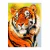 Artesanato Pintura Diamante Diy 30X40 - tigre CY-DW09893