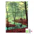 Artesanato Pintura Diamante Diy 20x30 - PAISAGEM XC033 - comprar online