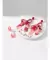 Kit 6 Pares De Brincos Coral - Un - comprar online