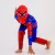 Fantasia infantil Homem Aranha na internet