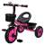 TRICICLO INFANTIL SEM EMPURRADOR ZIPPY